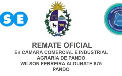 Remate Oficial. En Cámara Comercial e Industrial Agraria de Pando. Wilson Ferreira Aldunate 875 Pando